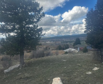 İlan Fotoğrafı